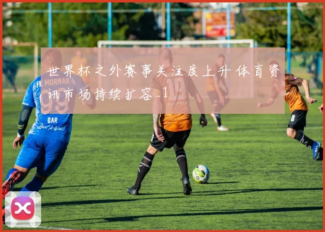 世界杯之外赛事关注度上升 体育资讯市场持续扩容_1