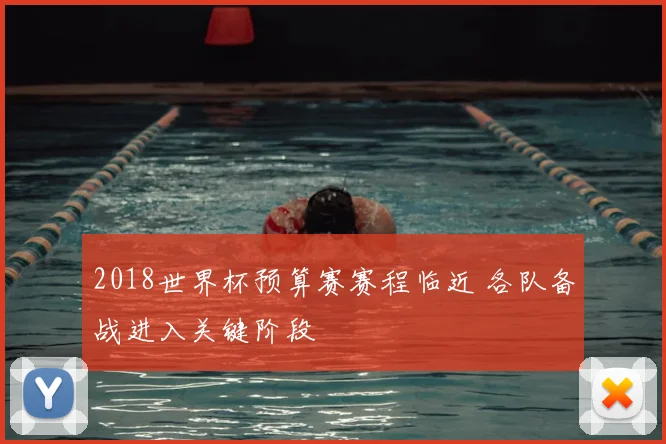 2018世界杯预算赛赛程临近 各队备战进入关键阶段